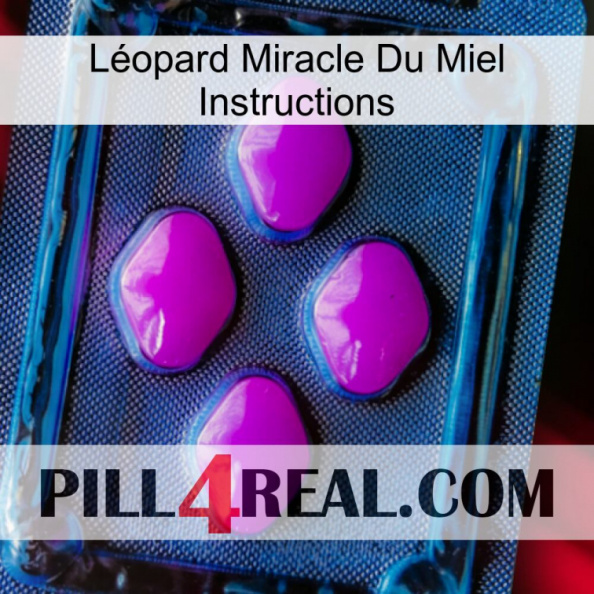 Léopard Miracle Du Miel Instructions 04.jpg